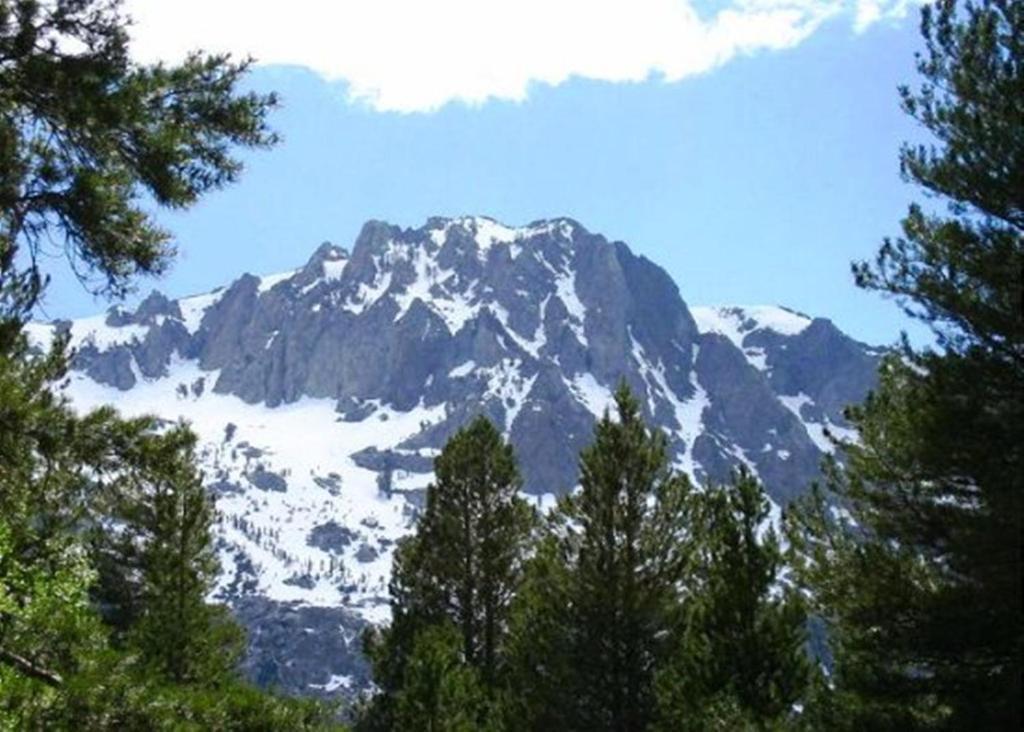 Birch Creek #1 - 1Br/1Ba - Down Canyon June Lake Exteriör bild
