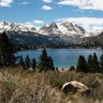 Birch Creek #1 - 1Br/1Ba - Down Canyon June Lake Exteriör bild